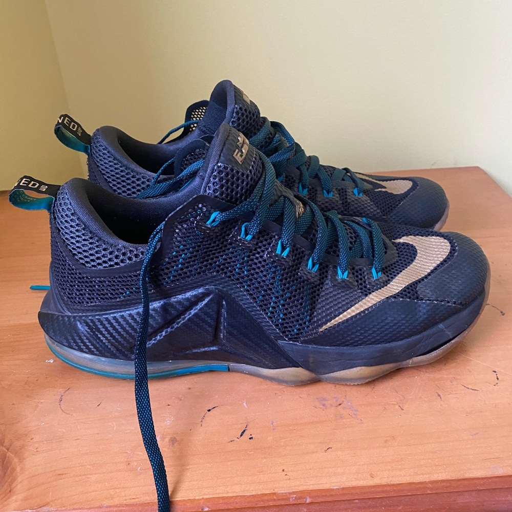 LEBRON 12 LOW ‘CARBON FIBER’